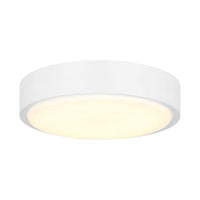 Canarm Industrial Fan Light Kit