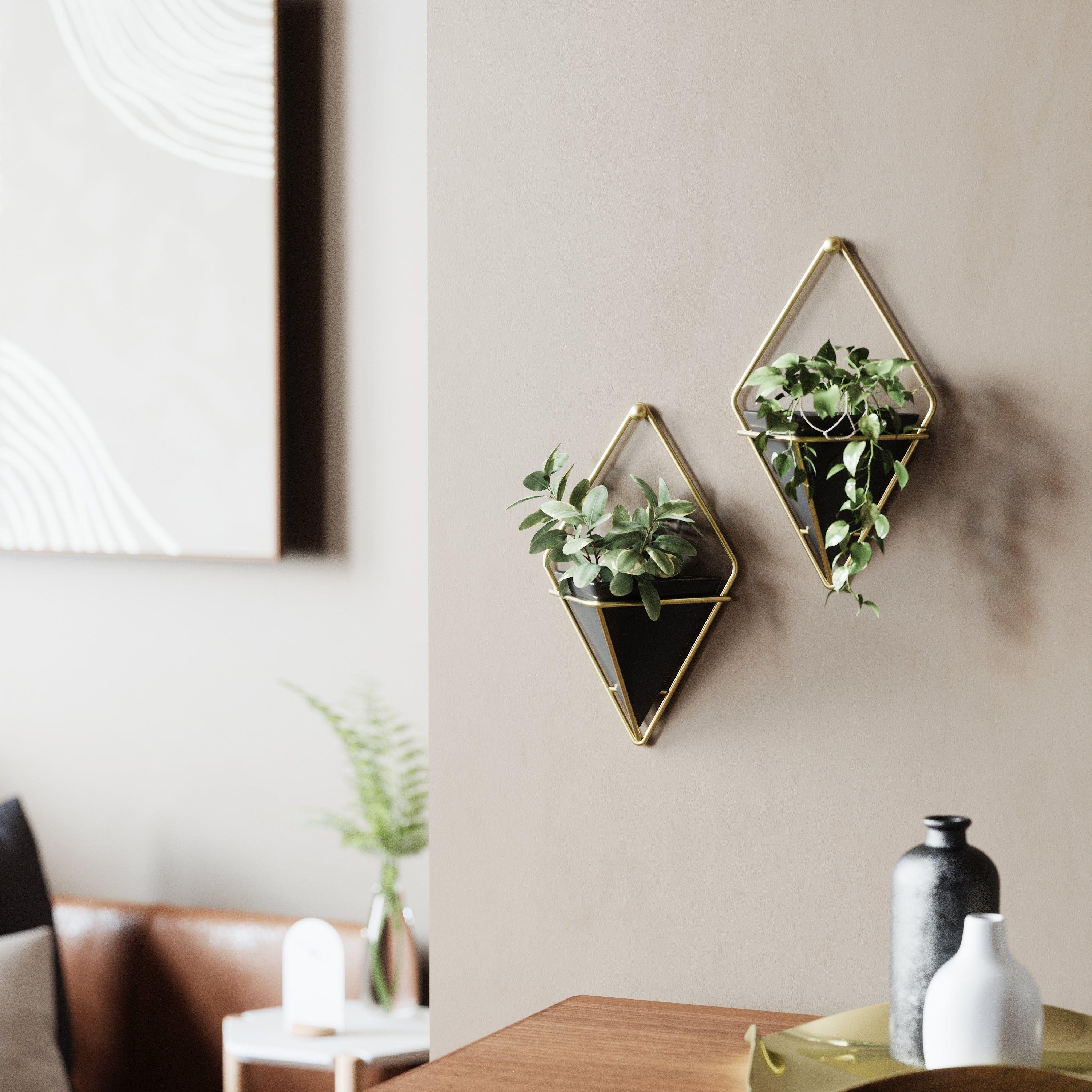Umbra - Trigg Wall Display (Set of 2) - Lights Canada