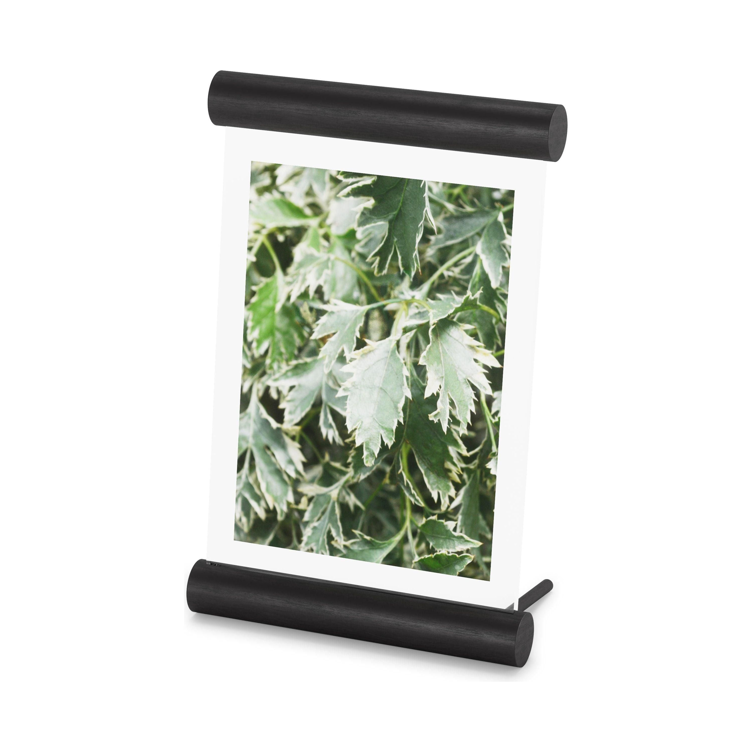 Umbra - Scroll Picture Frame - Lights Canada