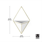 Umbra - Trigg Wall Display - Lights Canada