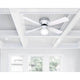 Canarm - Neptune Ceiling Fan - Lights Canada