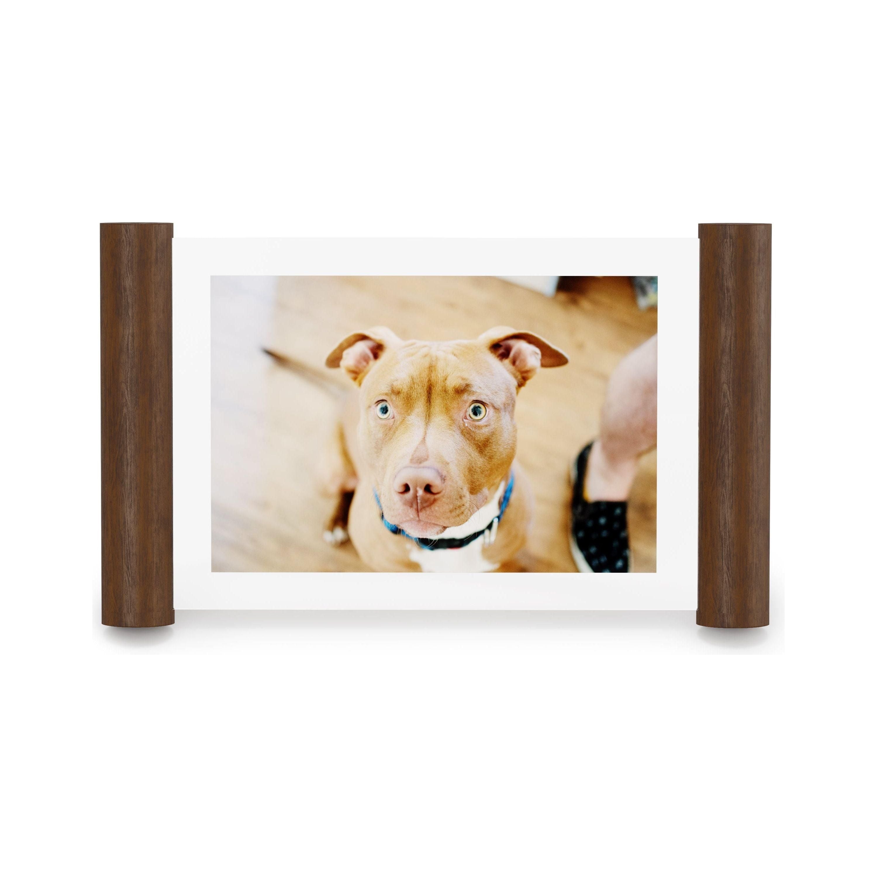 Umbra - Scroll Picture Frame - Lights Canada