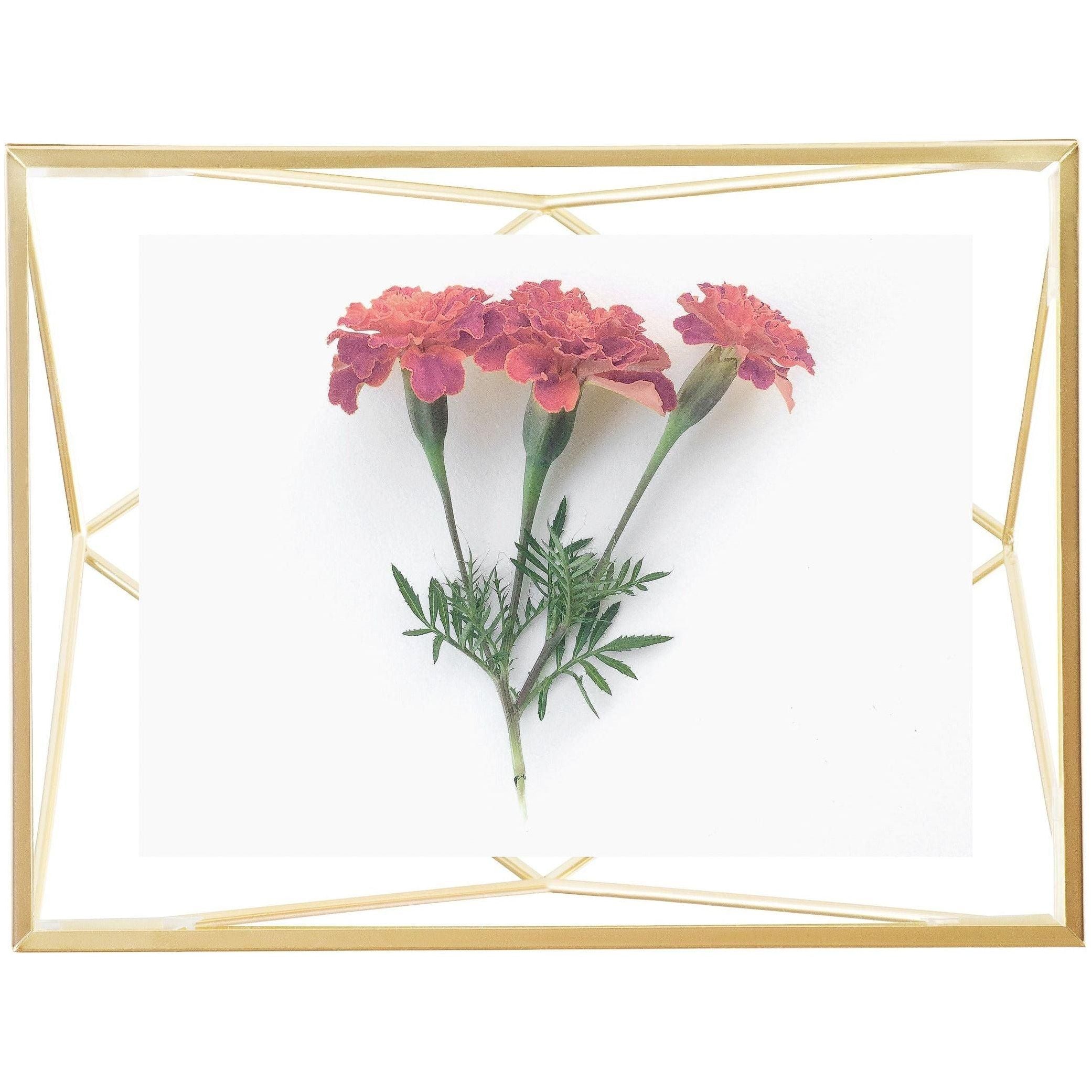 Umbra - Prisma Picture Frame - Lights Canada