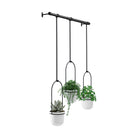 Umbra - Triflora Hanging Planter - Lights Canada