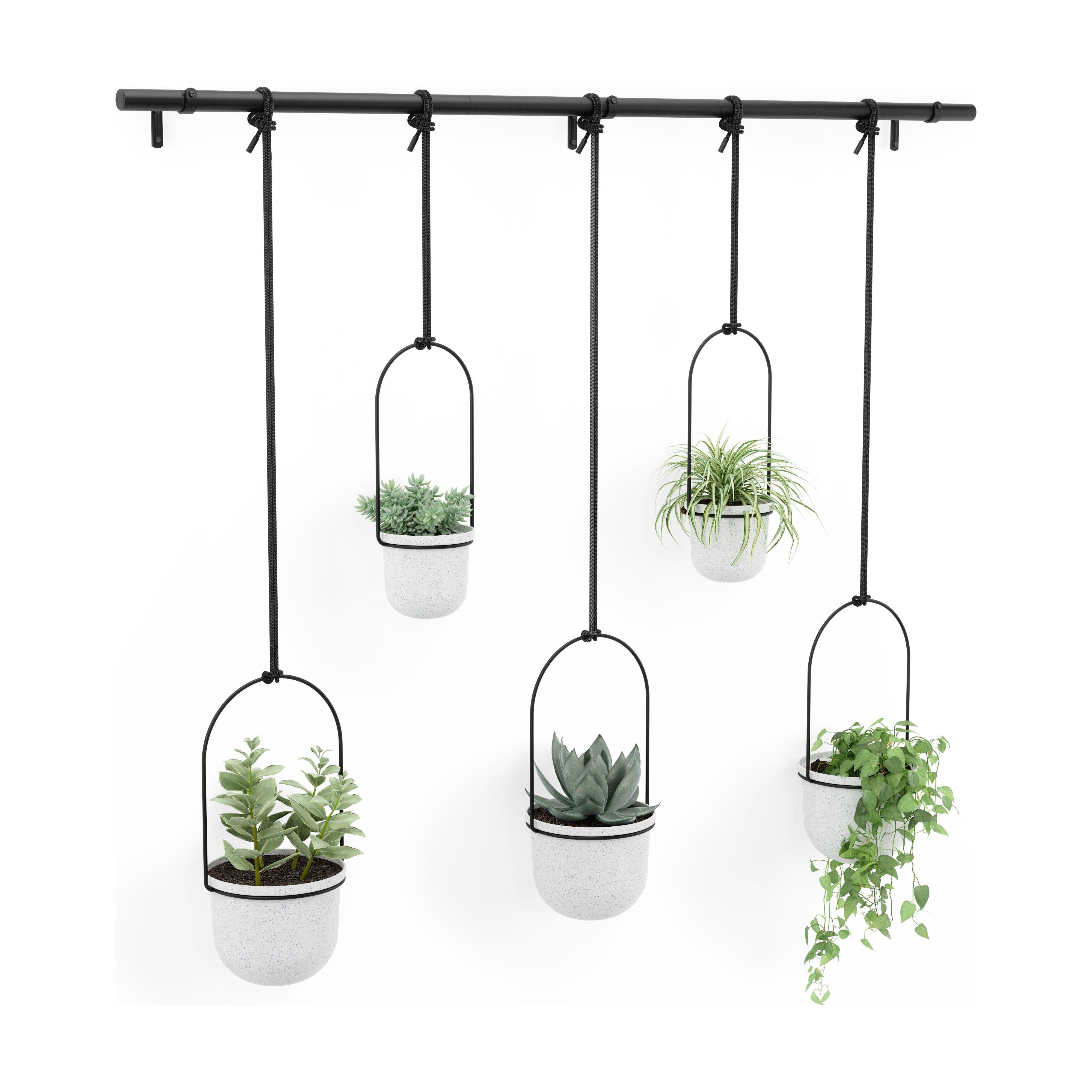 Umbra - Triflora Hanging Planter (Set of 5) - Lights Canada