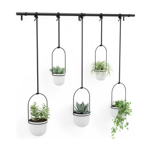 Umbra - Triflora Hanging Planter (Set of 5) - Lights Canada