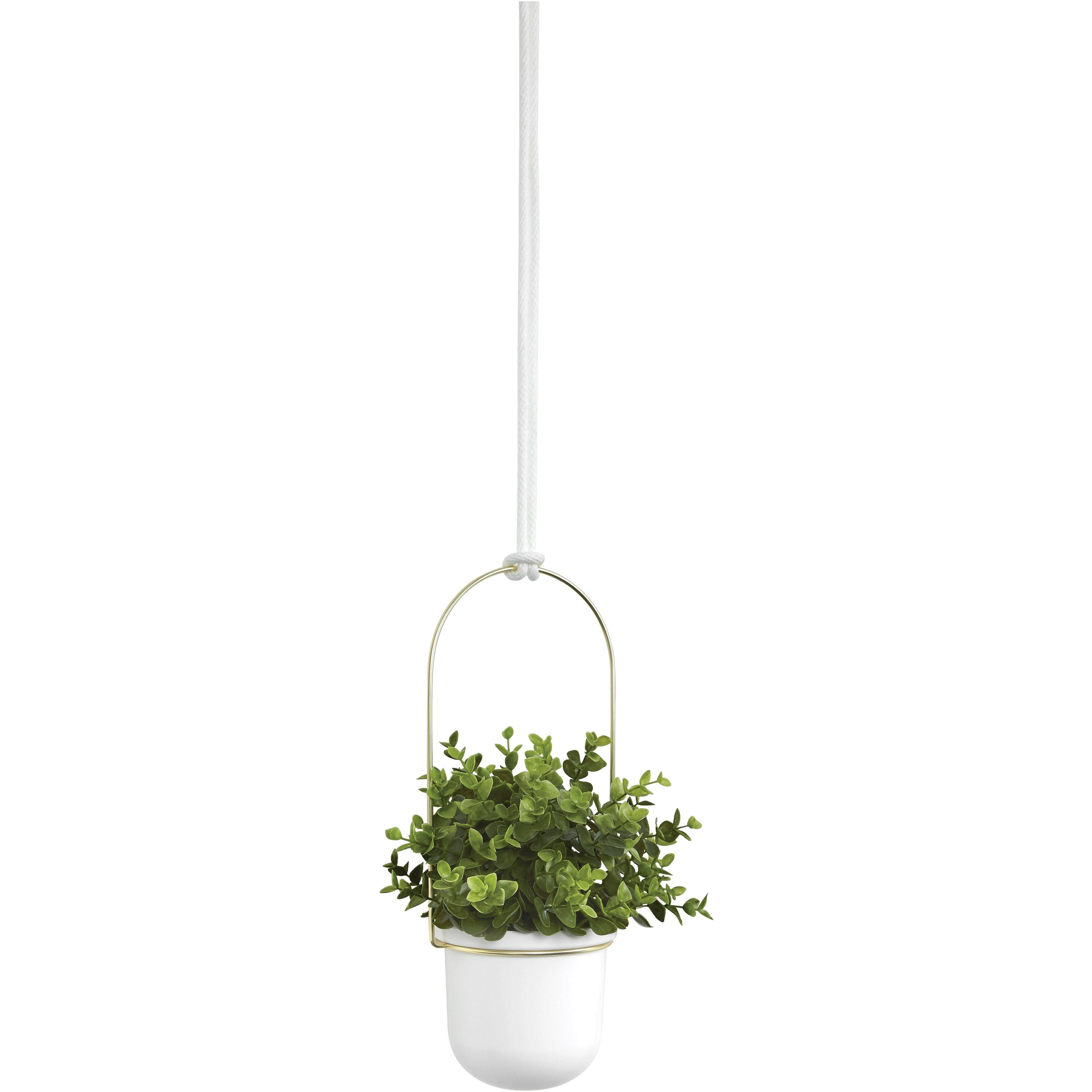 triflora hanging planter umbra Triflora Hanging Planter