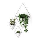Umbra - Trigg Wall Display (Set of 2) - Lights Canada