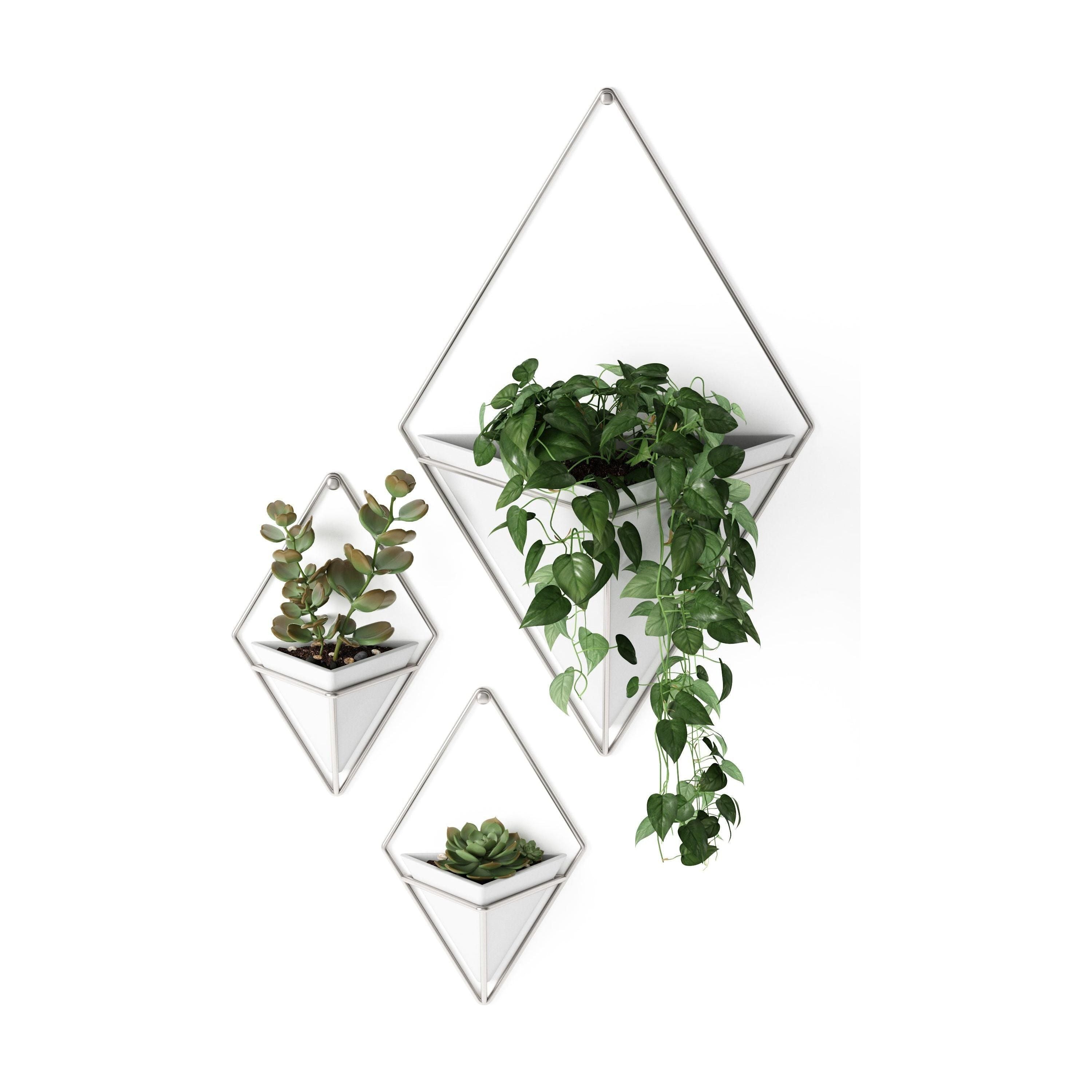 Umbra - Trigg Wall Display (Set of 2) - Lights Canada