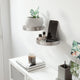 Umbra - Perch Shelves (Set of 2) - Lights Canada