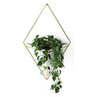 Umbra - Trigg Wall Display - Lights Canada