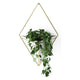 Umbra - Trigg Wall Display - Lights Canada