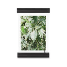 Umbra - Scroll Picture Frame - Lights Canada