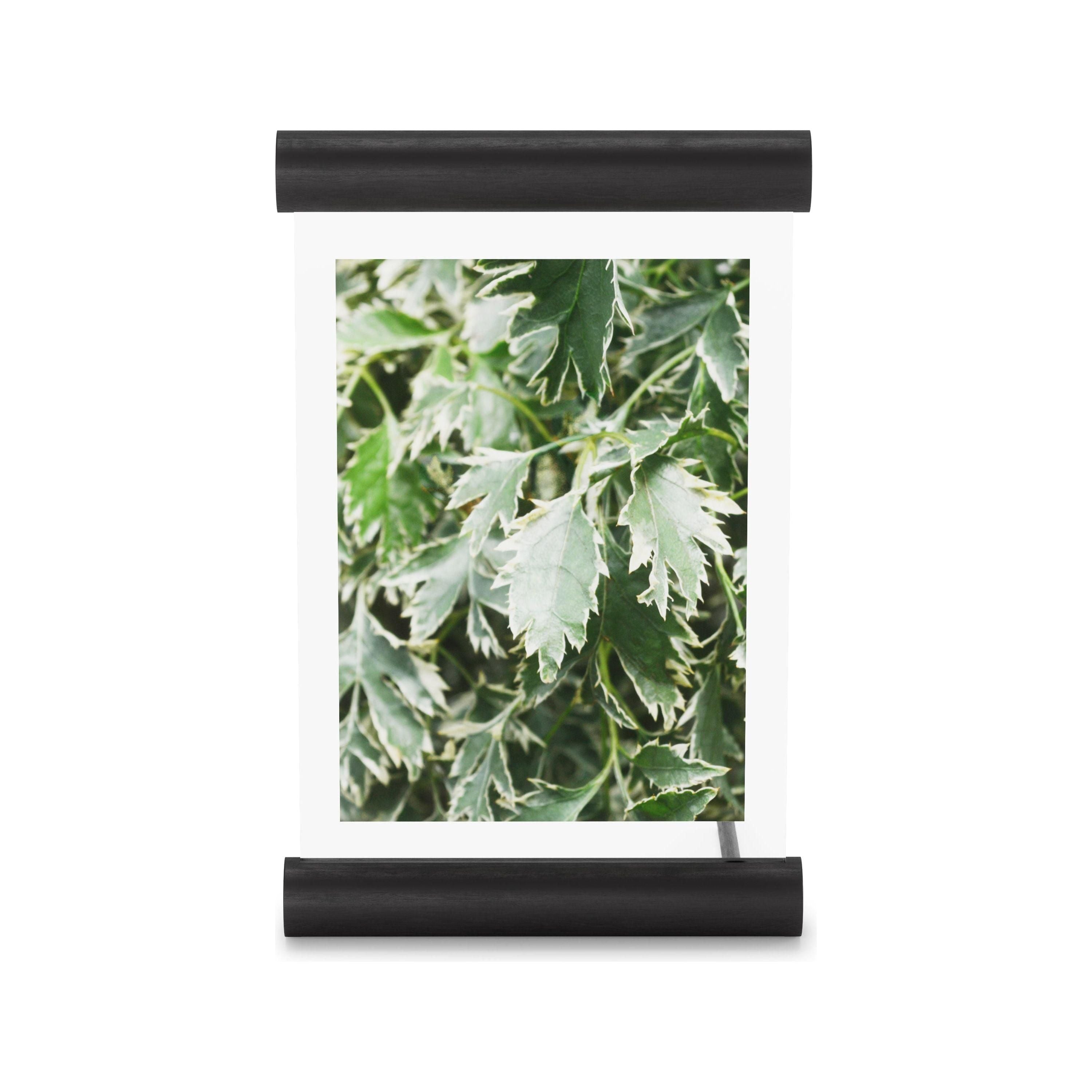 Umbra - Scroll Picture Frame - Lights Canada