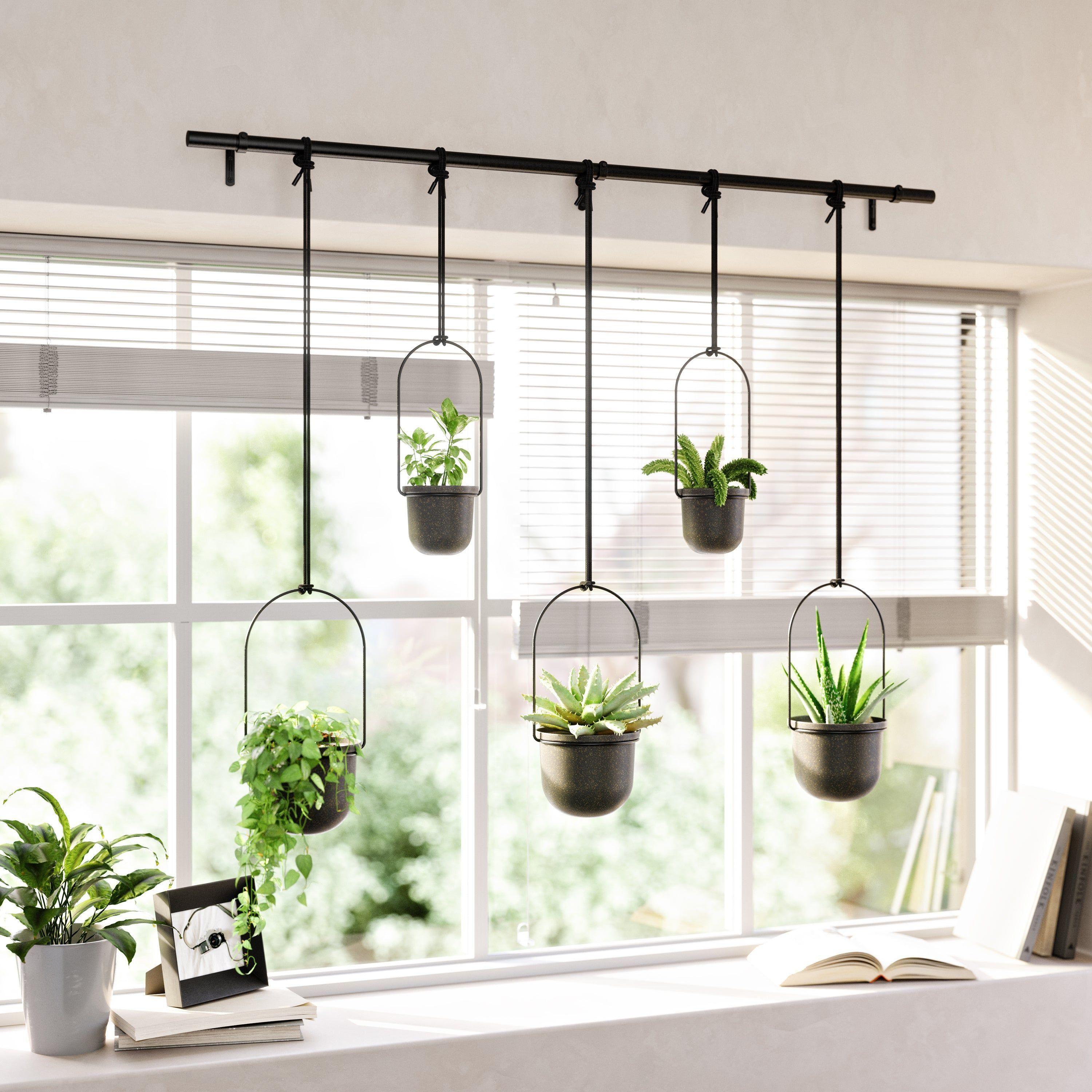 Umbra - Triflora Hanging Planter (Set of 5) - Lights Canada