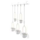 Umbra - Triflora Hanging Planter (Set of 5) - Lights Canada