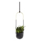Umbra - Bolo Hanging Planter - Lights Canada