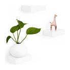 Umbra - Showcase Floating Shelves - Lights Canada