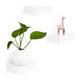 Umbra - Showcase Floating Shelves - Lights Canada