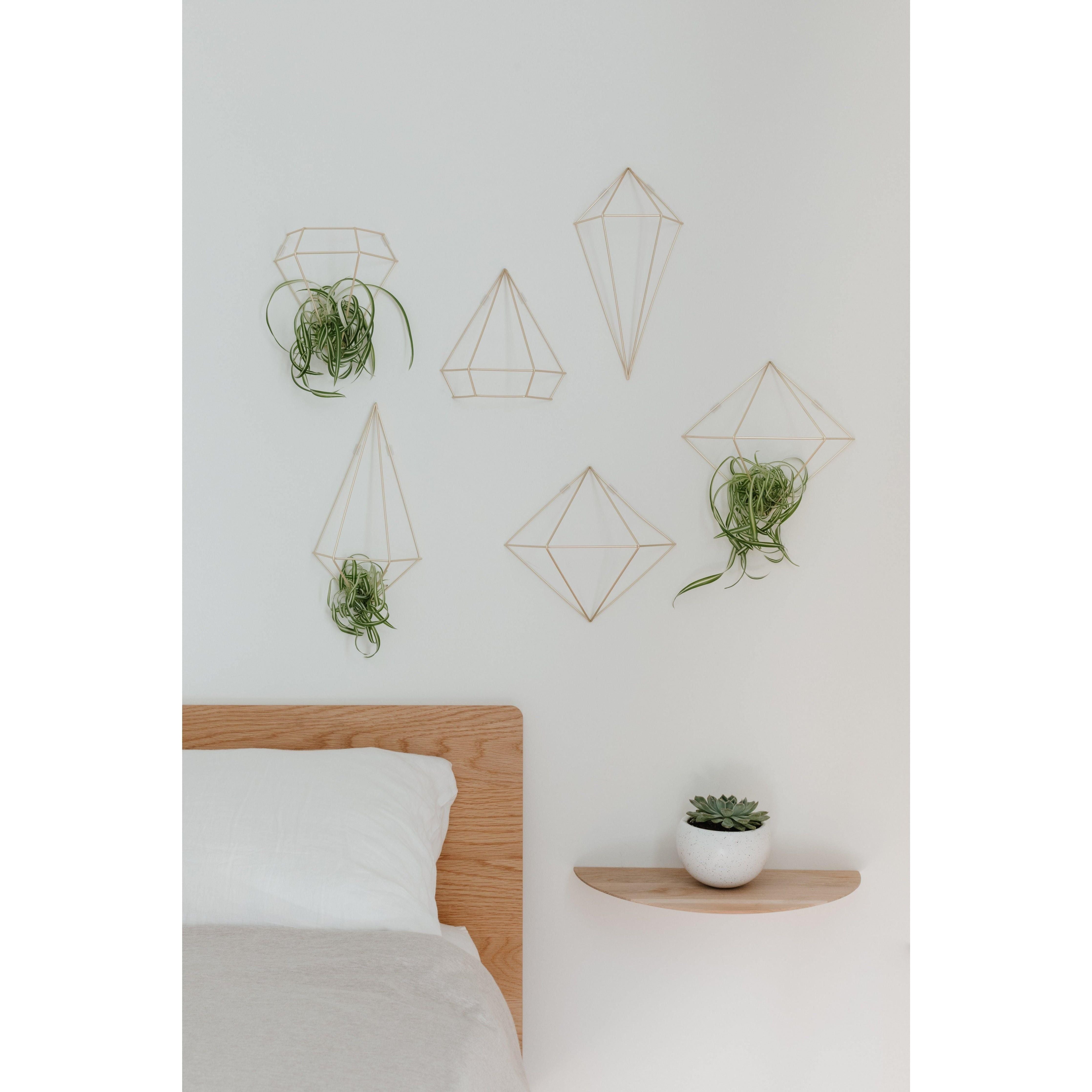 Umbra - Prisma Wall Decor (Set of 6) - Lights Canada