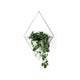 Umbra - Trigg Wall Display - Lights Canada
