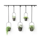 Umbra - Triflora Hanging Planter (Set of 5) - Lights Canada