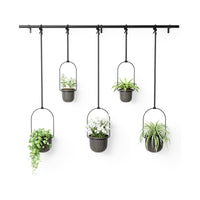 Triflora Hanging Planter (Set of 5)