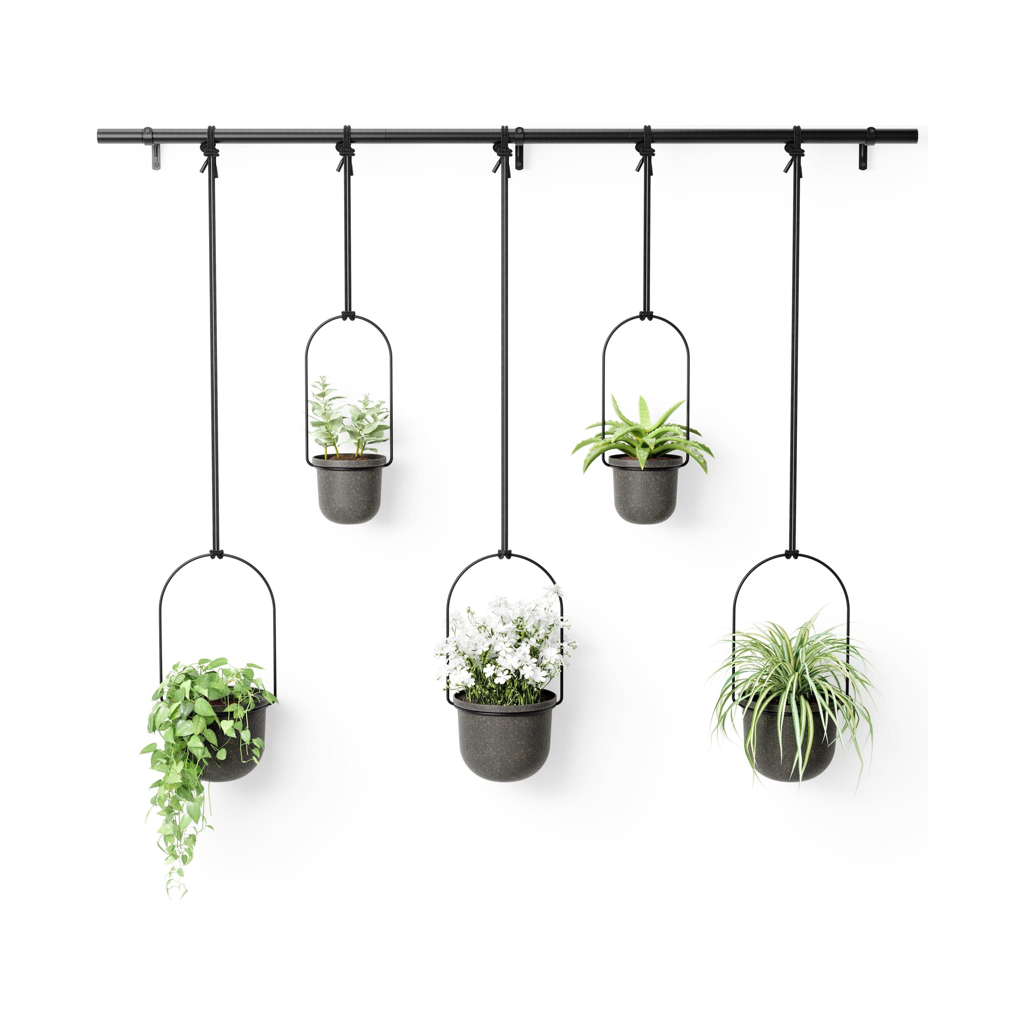 Umbra - Triflora Hanging Planter (Set of 5) - Lights Canada