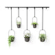 Umbra - Triflora Hanging Planter (Set of 5) - Lights Canada