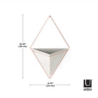 Umbra - Trigg Wall Display - Lights Canada