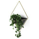 Umbra - Trigg Wall Display - Lights Canada