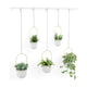 Umbra - Triflora Hanging Planter (Set of 5) - Lights Canada