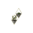 Umbra - Trigg Wall Display (Set of 2) - Lights Canada