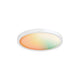 DALS - Smart Rgb+Cct Flush Mount - Lights Canada