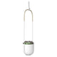 Umbra - Bolo Hanging Planter - Lights Canada