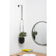 Umbra - Bolo Hanging Planter - Lights Canada
