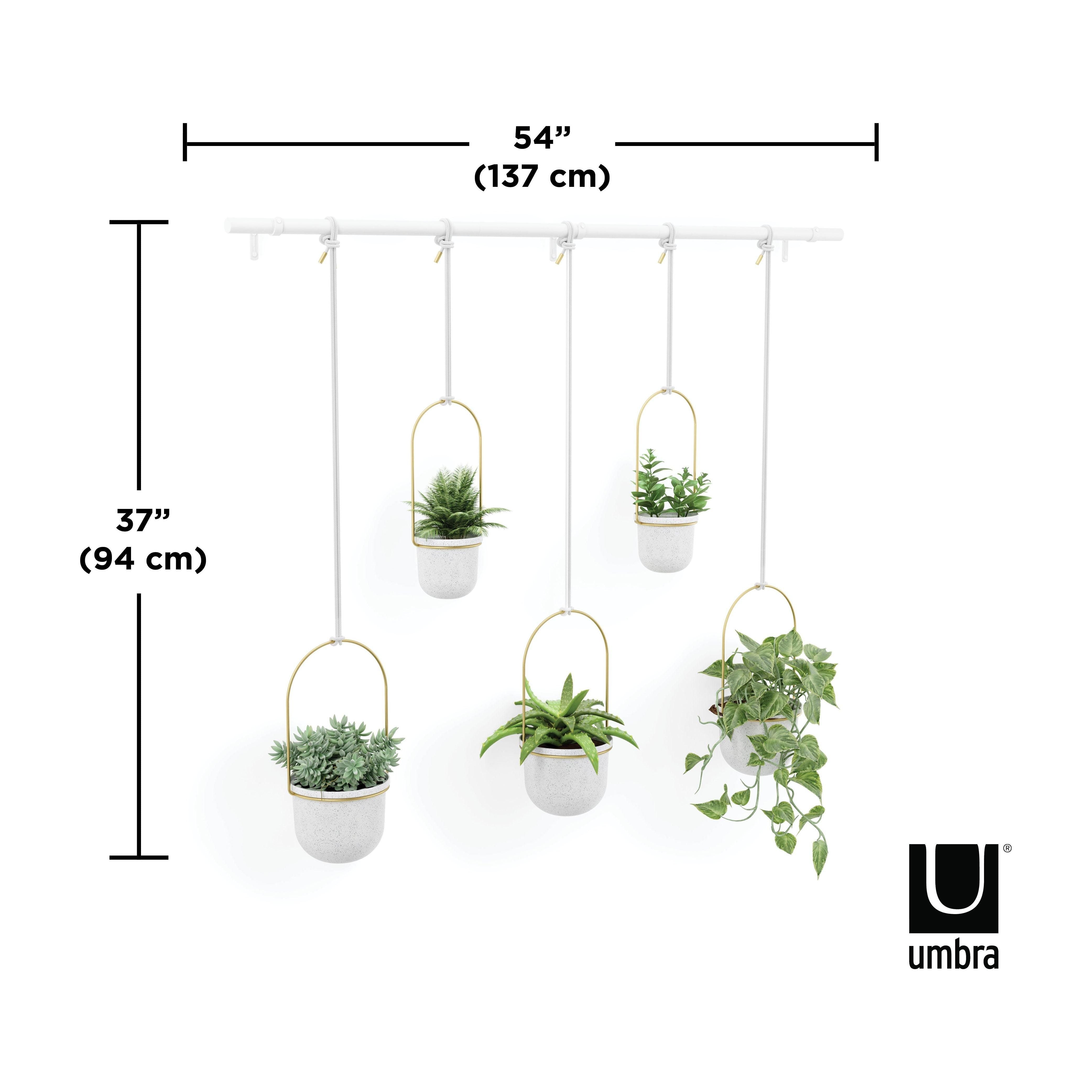Umbra - Triflora Hanging Planter (Set of 5) - Lights Canada