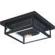 Quoizel - Westover Outdoor Ceiling Light - Lights Canada