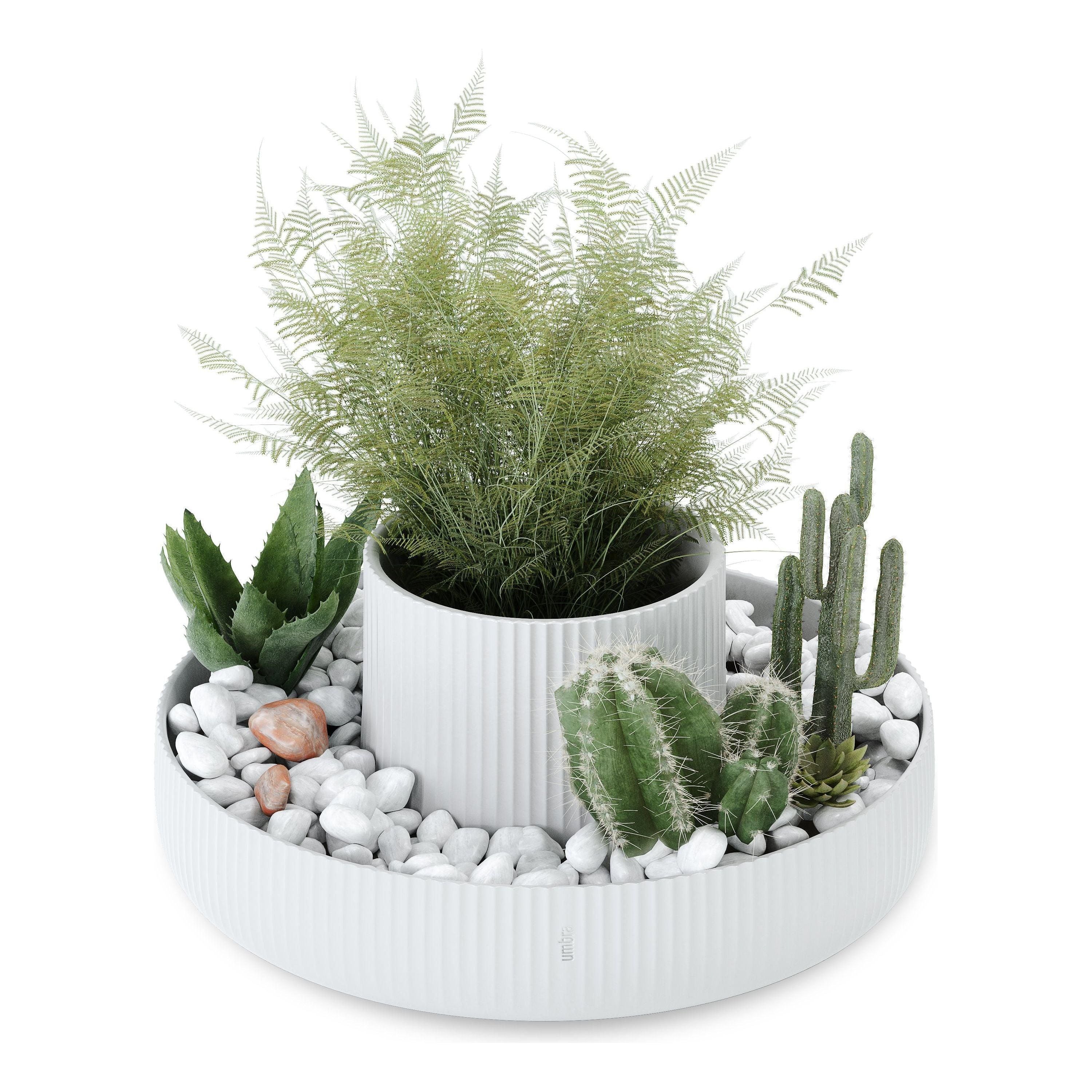 Umbra - Fountain Planter - Lights Canada