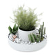 Umbra - Fountain Planter - Lights Canada