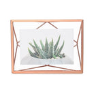 Umbra - Prisma Picture Frame - Lights Canada