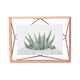 Umbra - Prisma Picture Frame - Lights Canada