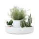 Umbra - Fountain Planter - Lights Canada