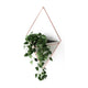 Umbra - Trigg Wall Display - Lights Canada