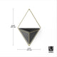 Umbra - Trigg Wall Display - Lights Canada