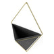 Umbra - Trigg Wall Display - Lights Canada